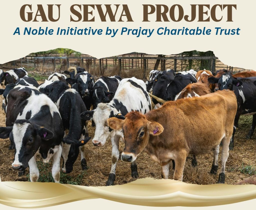 प्रजय चैरिटेबल ट्रस्ट की ओर से गौ सेवा प्रोजेक्ट !